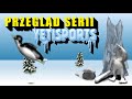 Przegląd Gier z Serii Yetisports