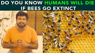 Do You Know Humans Will Die If Bees Go Extinct | Anuj Ramatri  An EcoFreak