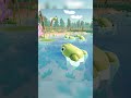 Close-up on the water today 🐸 #CozyGame #FrogVibes #IndieGame #MiniPondFarm