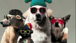 YOU'RE A GOOD DOG Video Song - YouTube