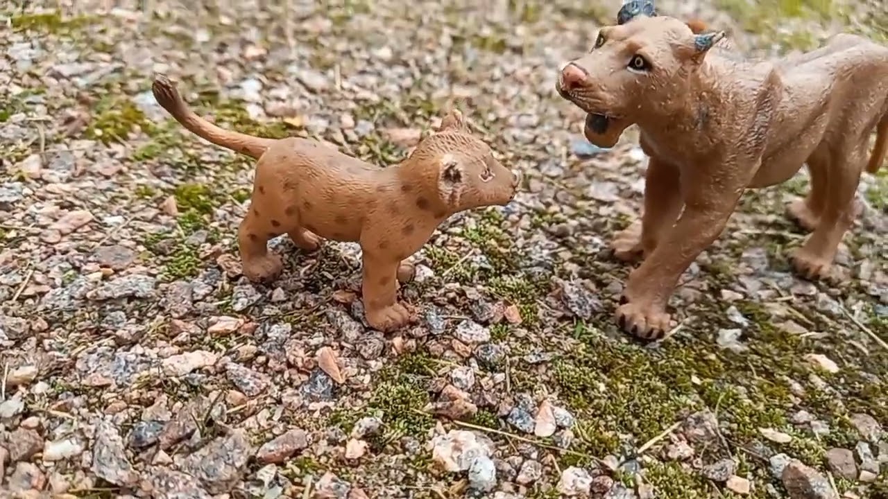 прайд львой 1 сезон 5 серия финал