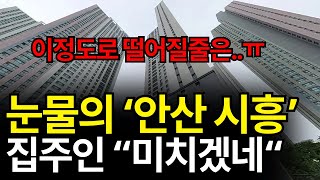 눈물의 안산 시흥 부동산
