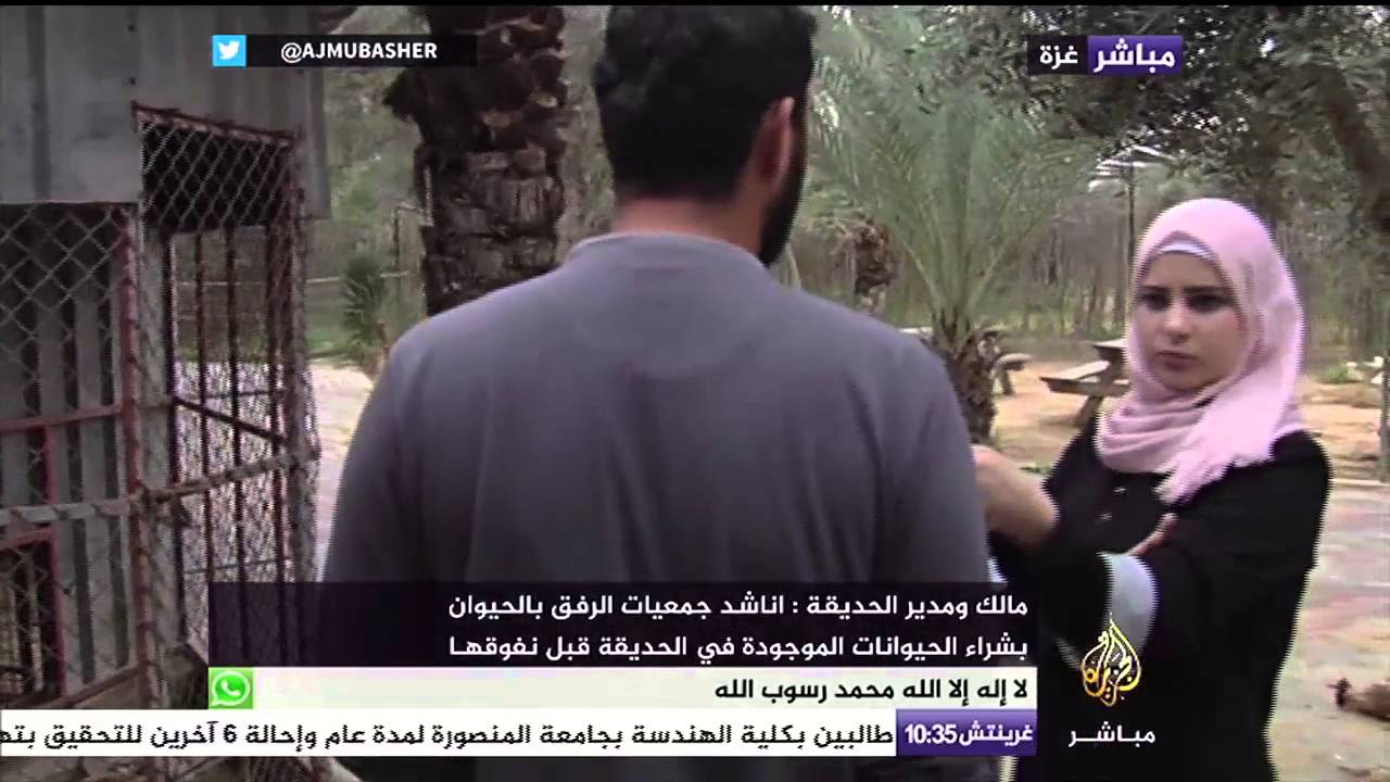 غزة .. نفوق عدد كبير من الحيوانات جراء الحصار علي القطاع