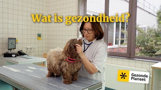 Wat Is Gezondheid?