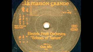 Electric Fruit Orchestra-Echoes Of Nature (Club Mix) (Nature One Hymne 97) Resimi