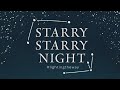 Starry Starry Night 2020