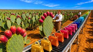 How Millions of Cactus Plants Become Luxury Leather Bags | Full Factory Process screenshot 1