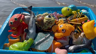 Box of Sea Animal Toys this Summer at the Shore