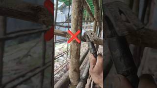 Download Lagu Gagasan yang belum pernah anda tahu, MP3