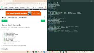 Bash Commands Overview | On Your Chromebook | Bash On Your Chromebook