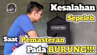 Kesalahan Ini Yang Membuat Pemasteran Itu Gagal Masuk || Cara Memaster Burung Kacer Yang Benar