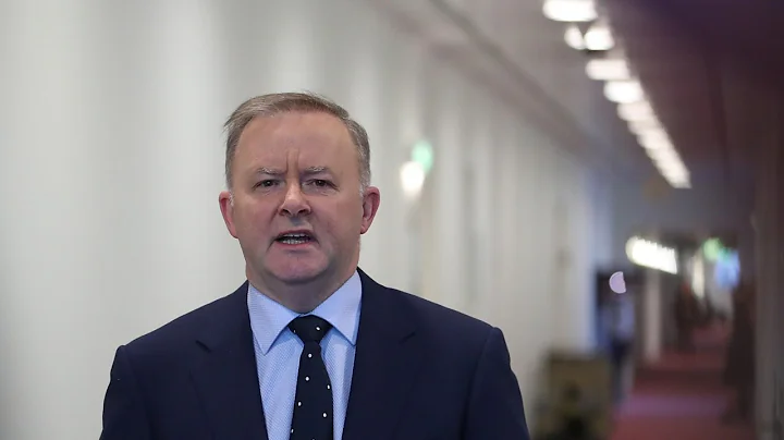 Albanese campaign 'all about lying' because 'he ca...