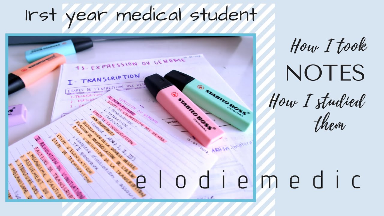 how i took my notes on first year medical school + how i studied them