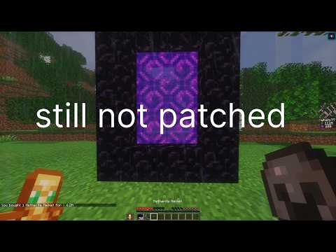 I made 1T using this NEW DUPE on DonutSMP