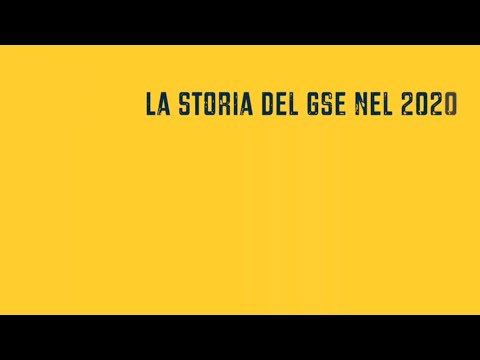 La storia del GSE nel 2020