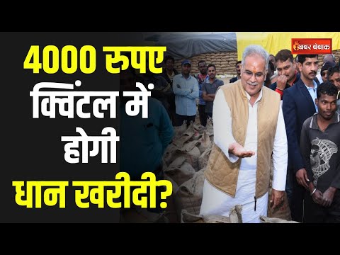 4000 रुपए प्रति क्विंटल में धान खरीदी करेगी सरकार, Bhupesh सरकार के मंत्री ने दी जानकारी