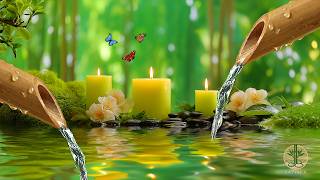 Sleeping Music for Deep Sleeping 🍃 Eliminate Stress and Calm Anxiety, Nature Sounds Relaxing Music