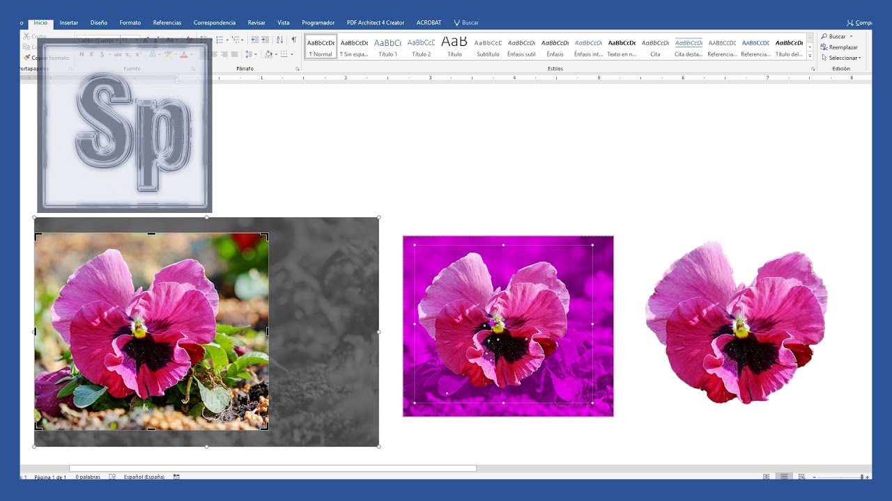 Recortar imágenes y quitar el fondo en Word | Saber Programas
