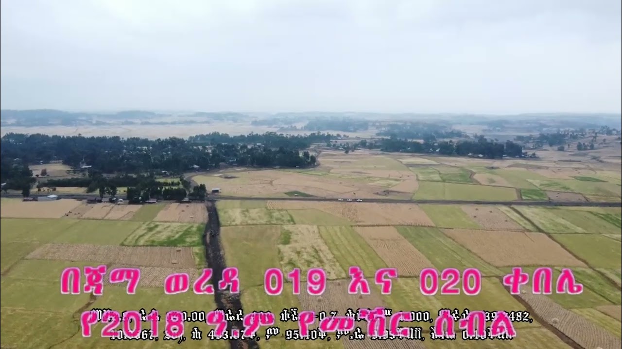 በደቡብ ወሎ ዞን ጃማ ወረዳ በ019 እና 020 ቀበሌ የ2018 ዓ.ም የመኸር ሰብል