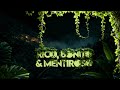 Rico, Bonito & Mentiroso 🤥 Mc Theuzzin, Rennan da Penha & Alex da Baixada