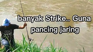 Mancing guna Pancing jaring....Selalu strike sampai penat tangan menangkap ikan talapia