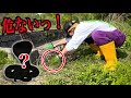 【超危険】致死率◯％の猛毒を持つ"マムシの巣"に手を伸ばし入れたら....