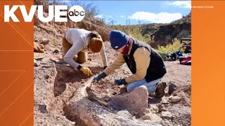 Rare mammoth tusk discovered in West Texas