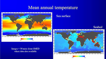 Mapping Marine Ecosystems and Biogeographic Realms