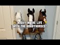 Day in the life with my hobbyhorses  hobby horse heaven