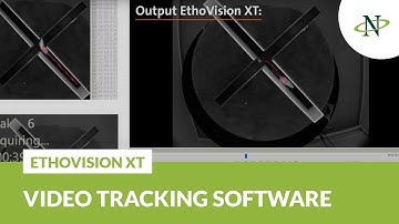 EthoVision XT: The video tracking software | Product Tour