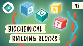 Biochemical Building Blocks & Fischer and Haworth Projections: Crash Course Organic Chemistry #48 screenshot 2