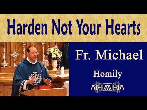 Hear His Voice, Harden Not Your Hearts - Jul 20 - Homily - Fr Michael