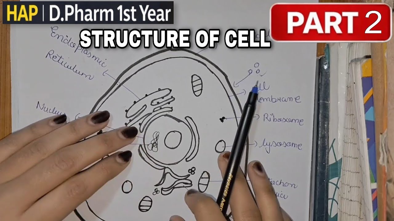 Structure of Cell | HAP Chapter 2 | D.Pharm 1st Year | Human Anatomy ...