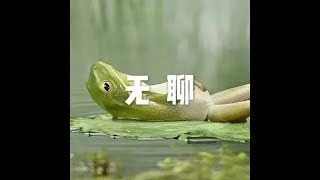 201508 无聊25254