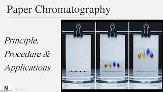 Paper Chromatography - Principle, Procedure and Rf value