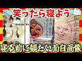 【🔥爆笑】寝る前に観たい面白画像&映像集!ガルちゃんまとめ/2ch