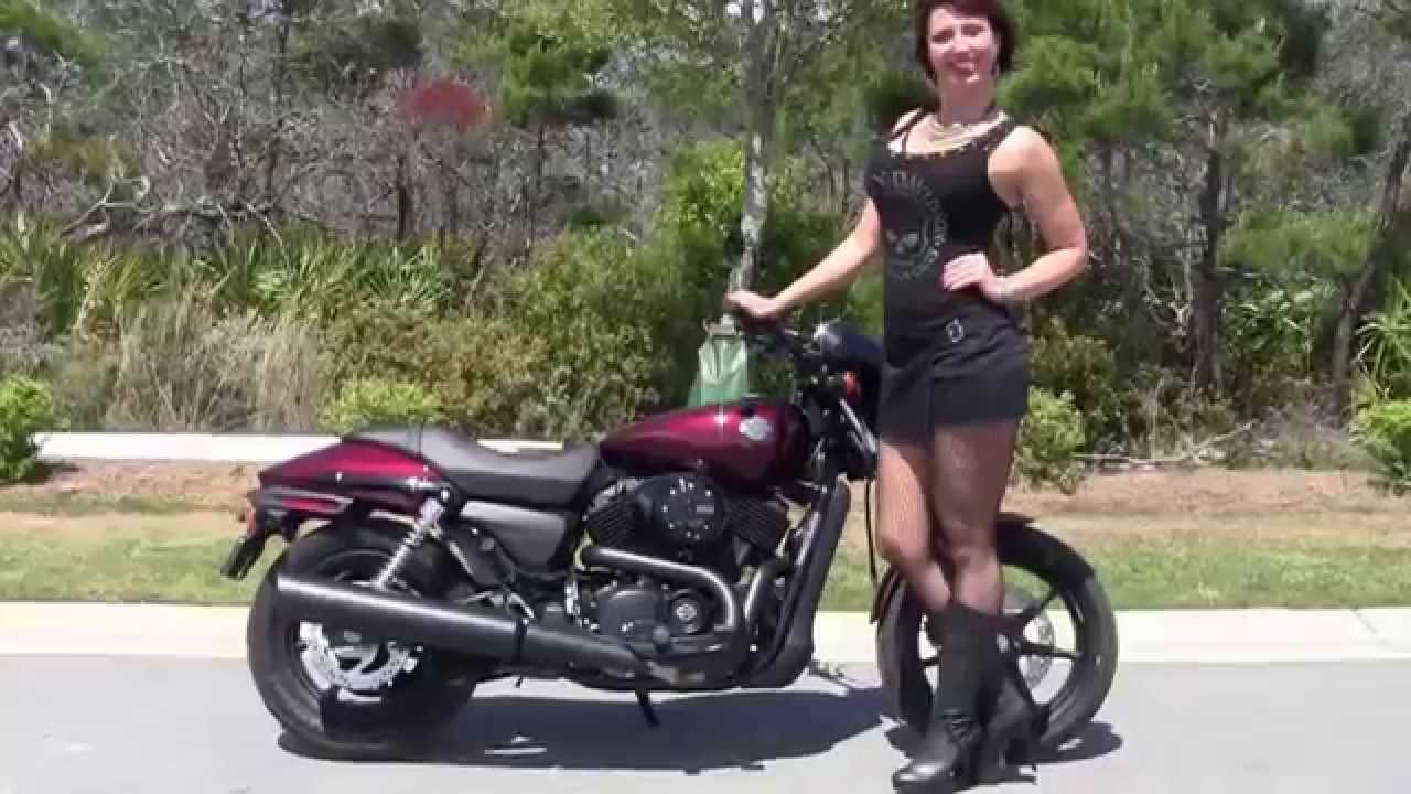 New 2019 Harley  Davidson  Street  500  Motorcycles for sale 