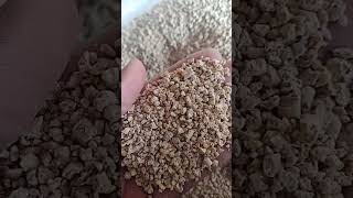 Celebrity Feed for hens Cl13 Wealth