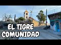 RECORRIDO VESPERTINO: EL TIGRE COMUNIDAD EN LA PIEDAD MICH. 🐯🥰