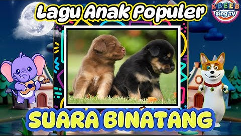 TV Lucu Suara Binatang - Lagu Viral Anak anak #KBeeb #Suarabinatang