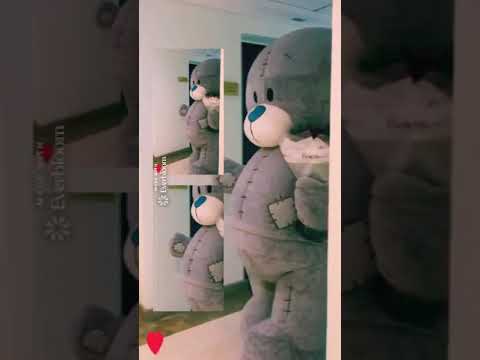 Teddy and Katy