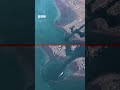 Safaf dhaadheer oo loo galayo shidaalka xilli qiimihiisu cirka isku shareeray