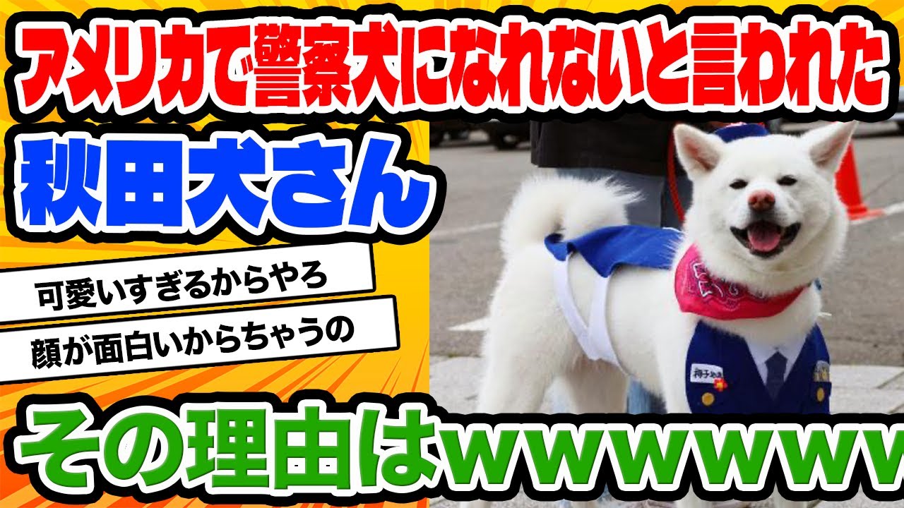 【2ch動物スレ】FBI「秋田犬・柴犬は頭が良すぎて警察犬に向かない」←これヤバイよな