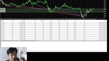 Backtest và Setup "BOT DCA Dương + Âm" độc quyền trên thị trường FOREX