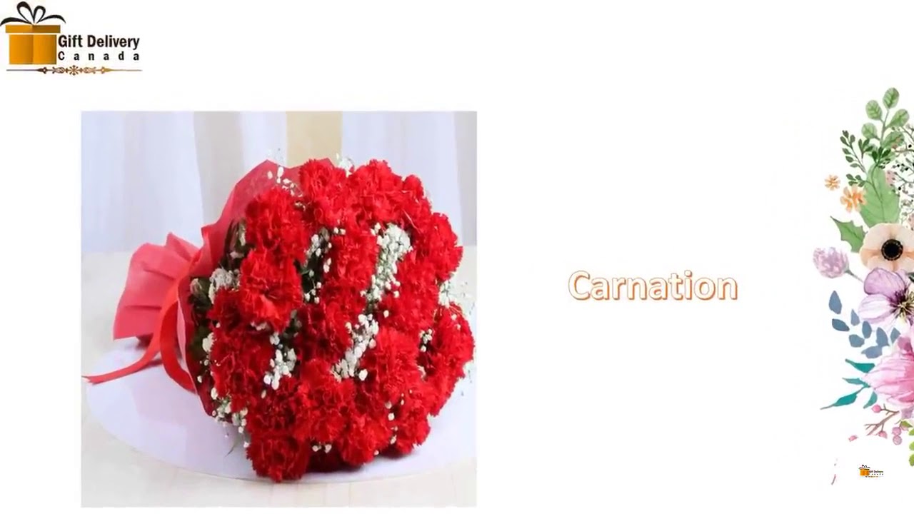 Flower's for Mother's Day Delivery in Canada with Free Shipping