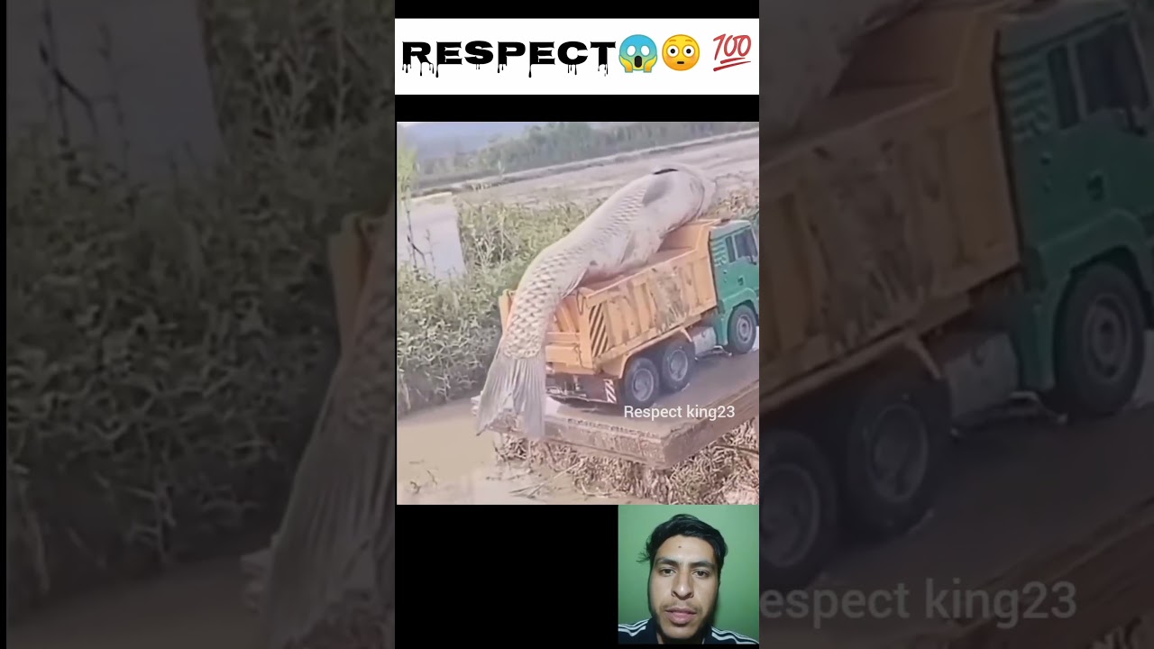 Itni Badi machli 🐠 respect king23 