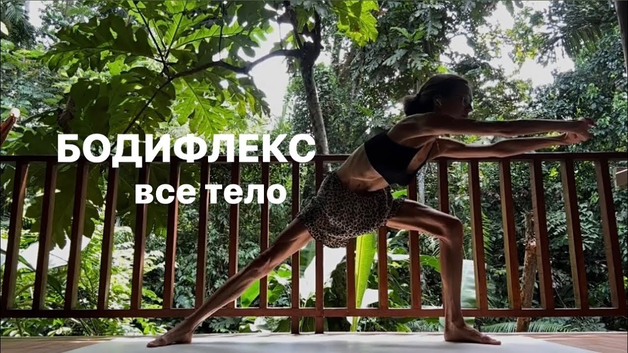 1295 Dac �� ������� �������������: ����.