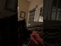 She keeps eating my food!!!