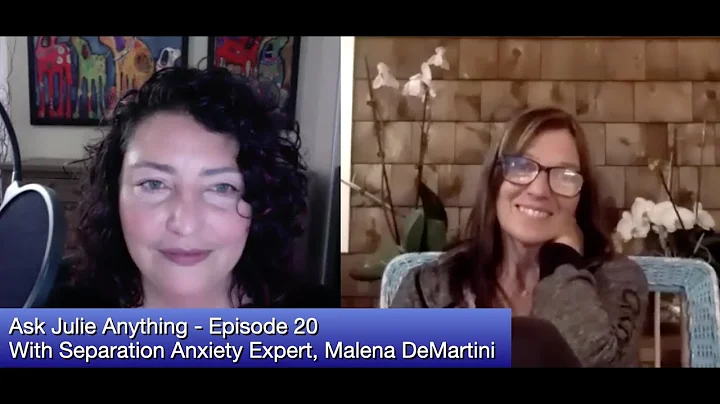 Separation Anxiety In Dogs & Cats with Malena DeMartini & Homeopath Julie Anne Lee