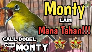 Call Dobel PANCINGAN PLECI MONTANUS jantan Monty Lain Mana Tahan!!!